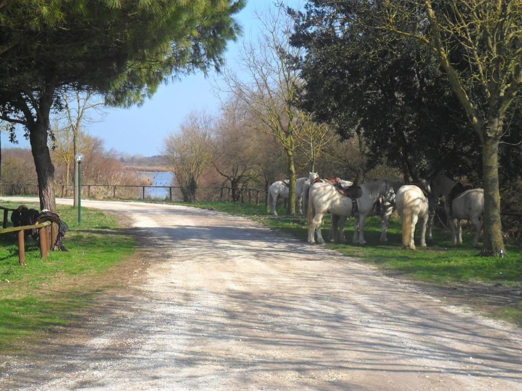 Hotel Rurale Cannevie Lido di Volano Zewnętrze zdjęcie